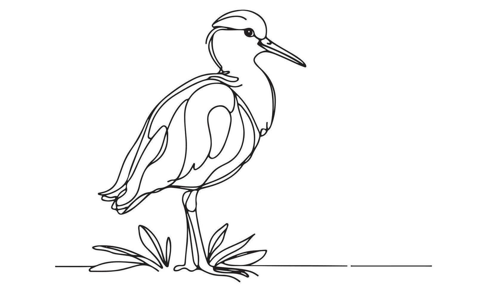A drawing of a heron standing on the ground vector