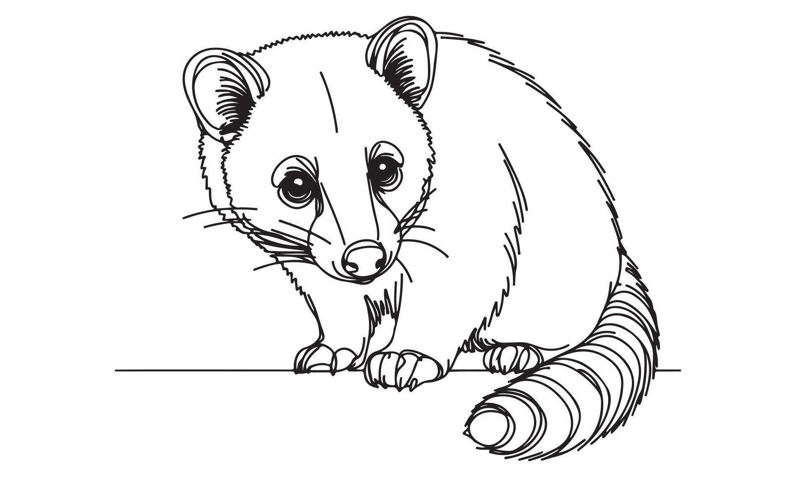 A coloring page of a raccoon vector