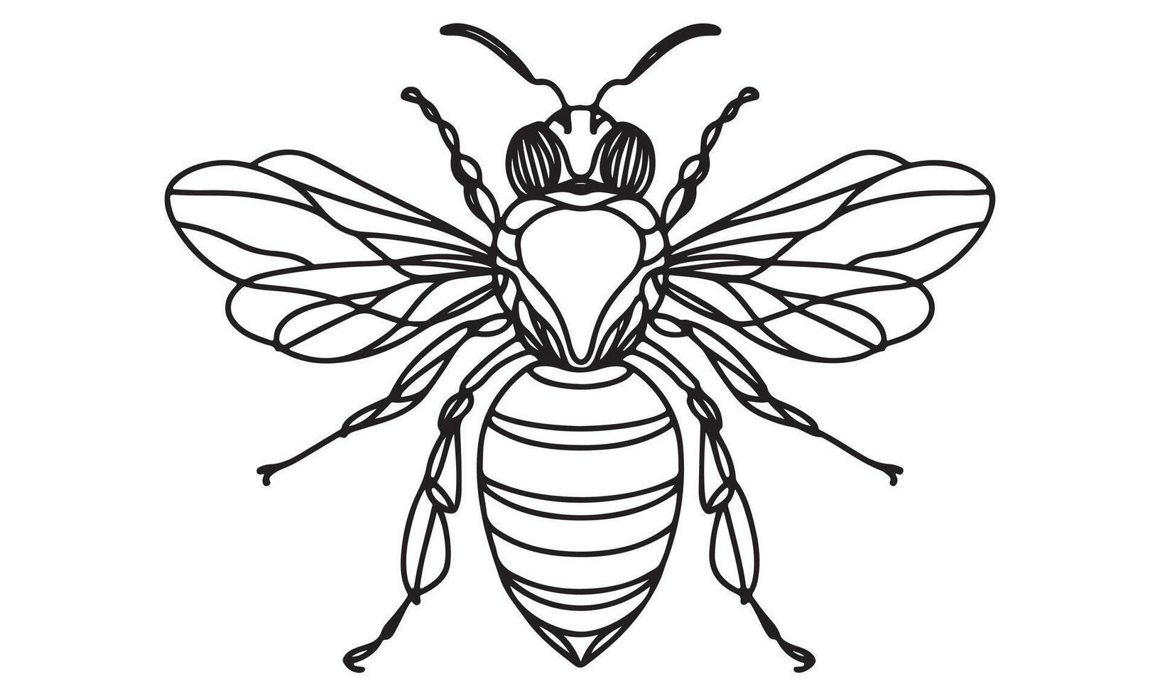 A bee coloring page with a black and white drawing vector