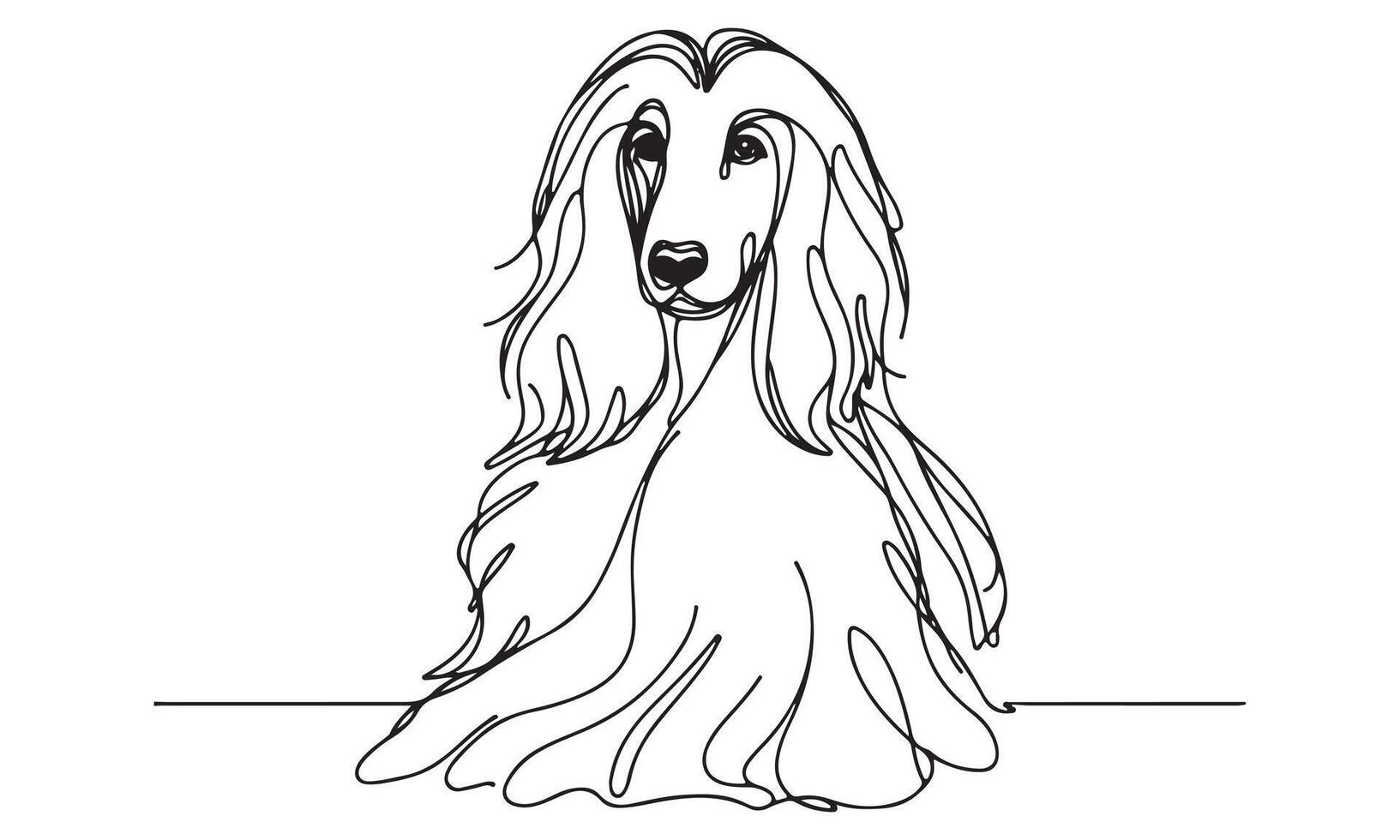 Afghan hound dog coloring page vector