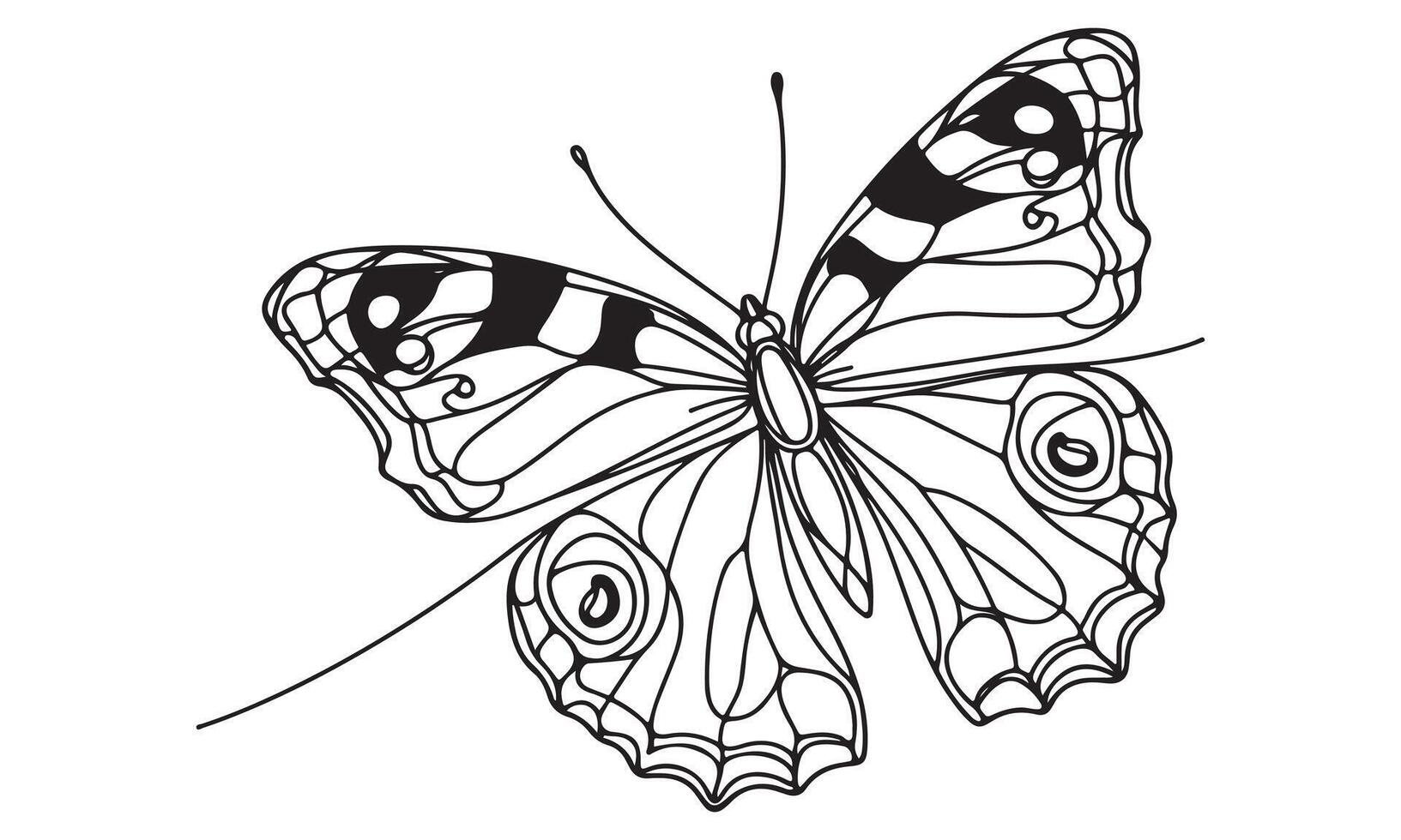 Butterfly coloring pages for kids vector