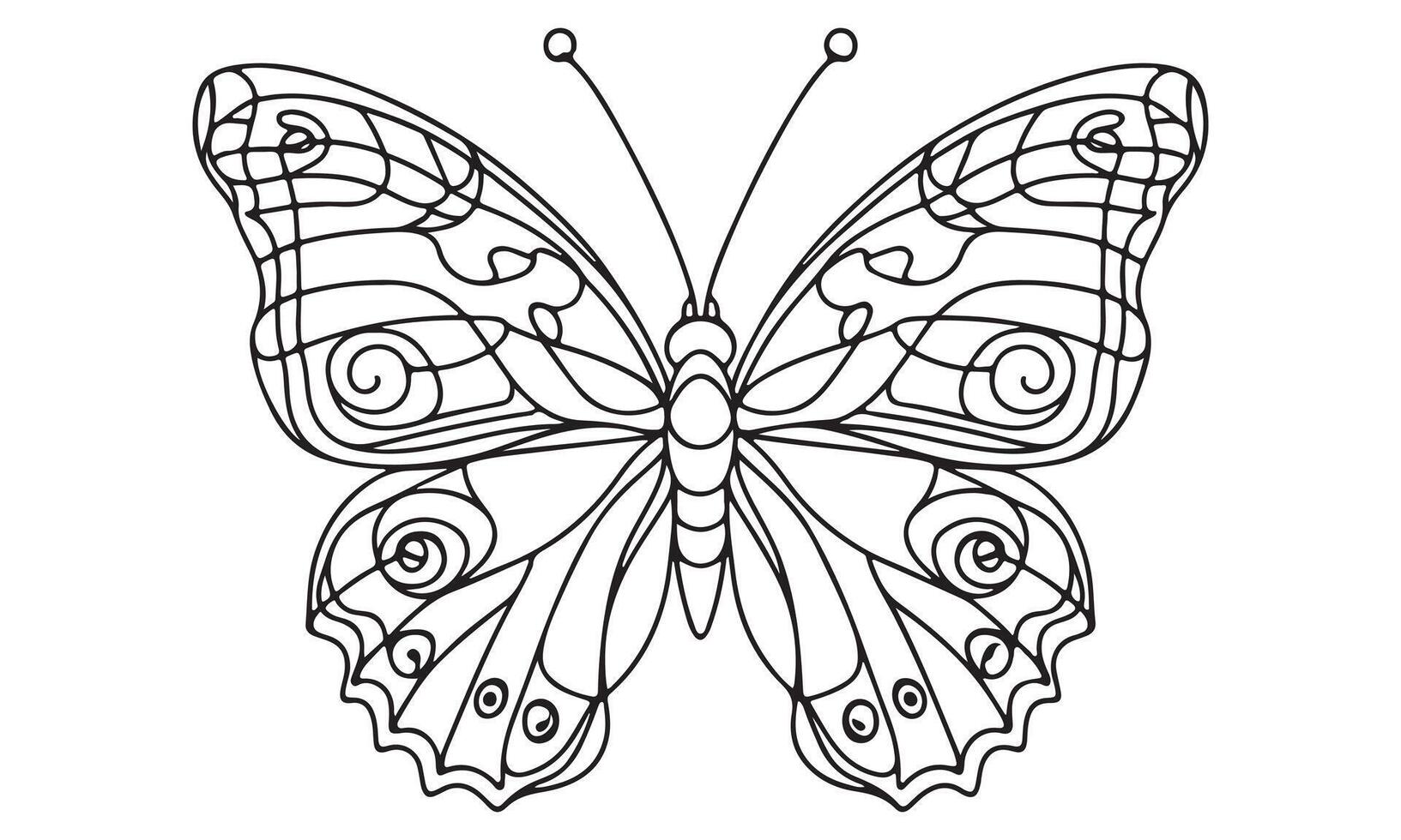 Butterfly coloring pages for adults vector