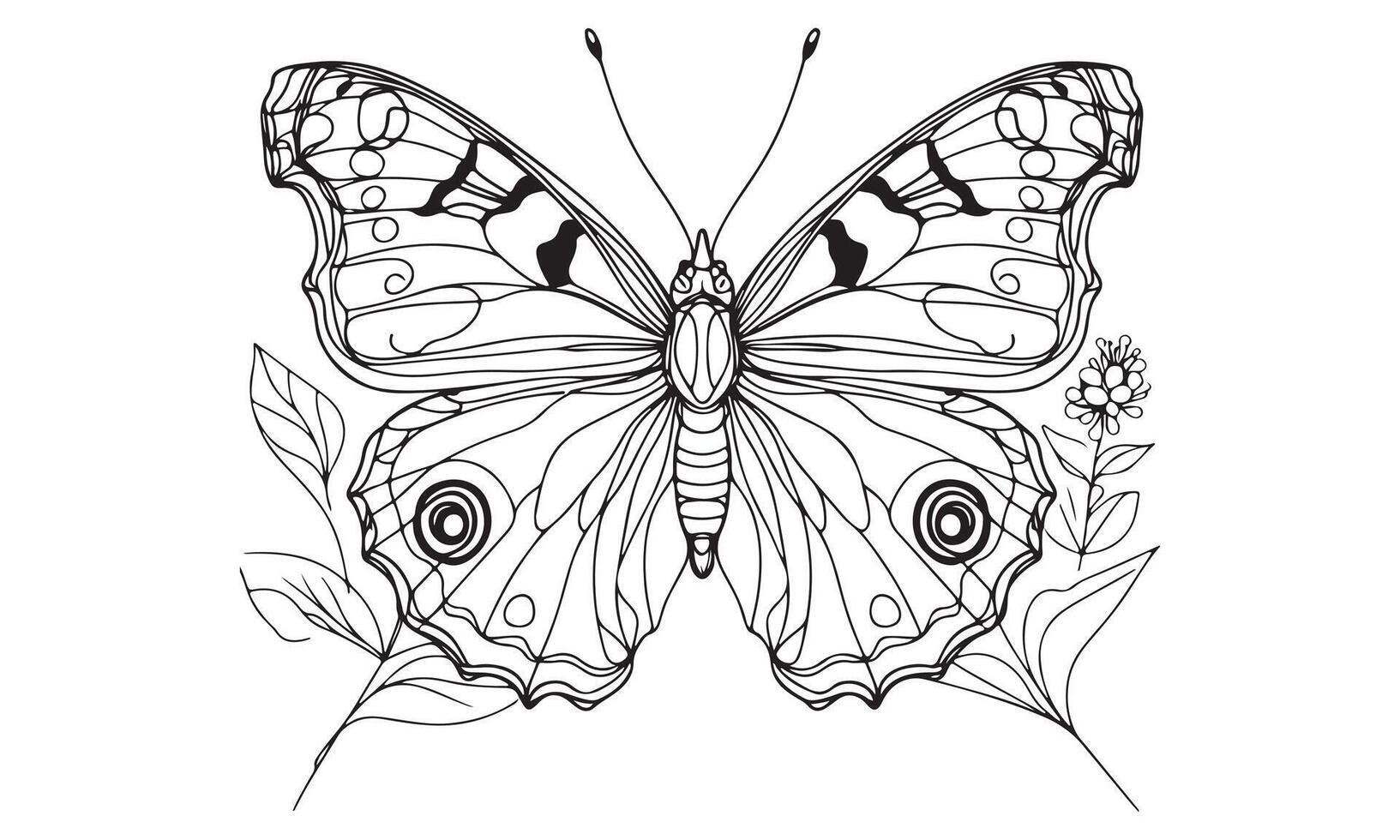 Butterfly coloring pages for adults vector