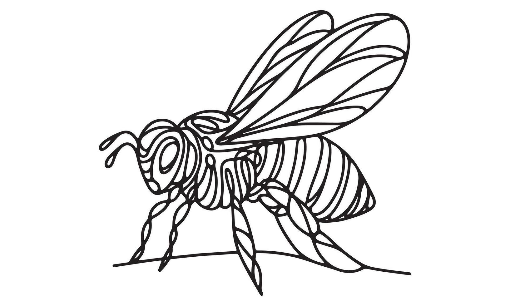 Bee coloring page for kids vector