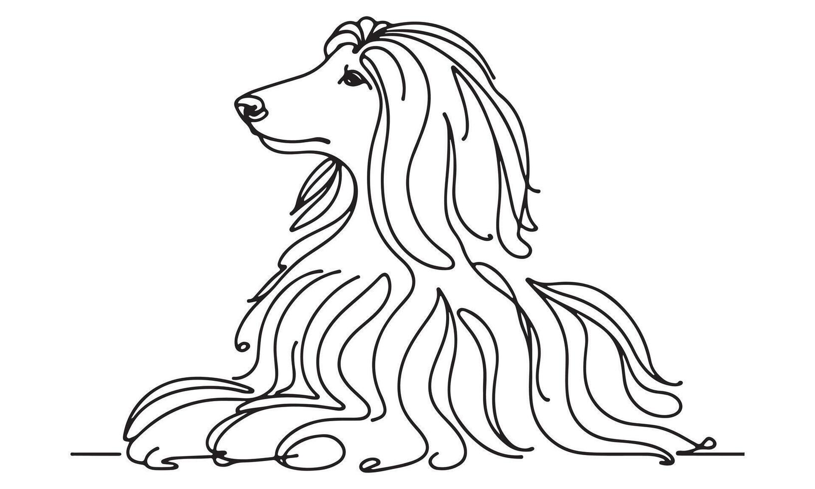 A dog with long hair is sitting down vector