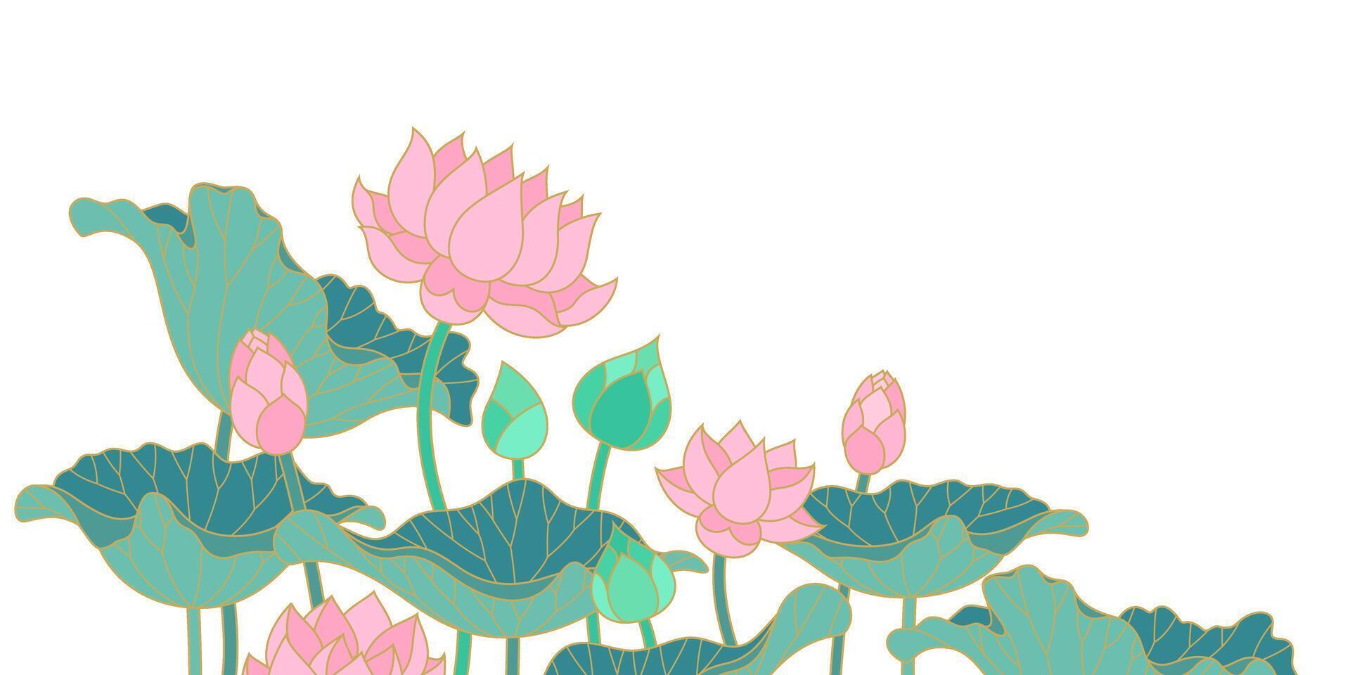 lotus flowers and leaves flat outline design vector