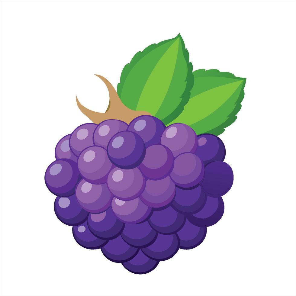 best fruit design download vector