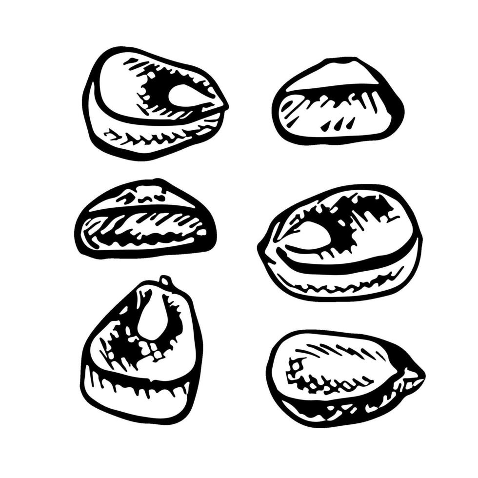 Corn kernels. A set of graphics depicting corn kernels. A black and white hand-drawn illustration. On a white background. Great for stickers, banners, posters and packages. vector
