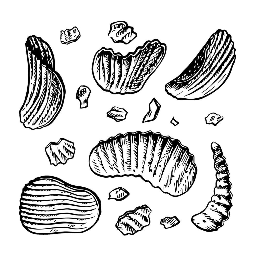 Potato chips. graphics with images of flat corrugated chips. Clip art black and white hand-drawn illustrations. On a white background. Great for labels, banners, posters and packages. vector