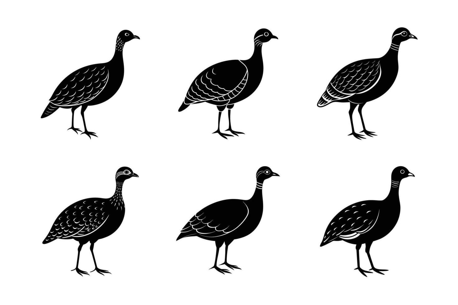 Andean Tinamou black vector