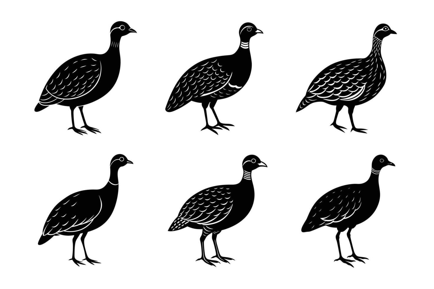 Andean Tinamou black silhouette vector
