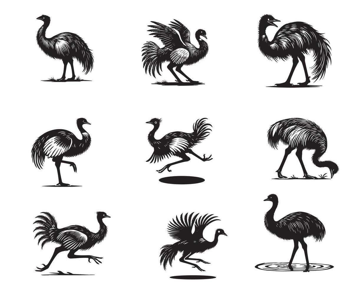 Collection of Greater rhea illustration - Rhea americana Bird Silhouette Design vector