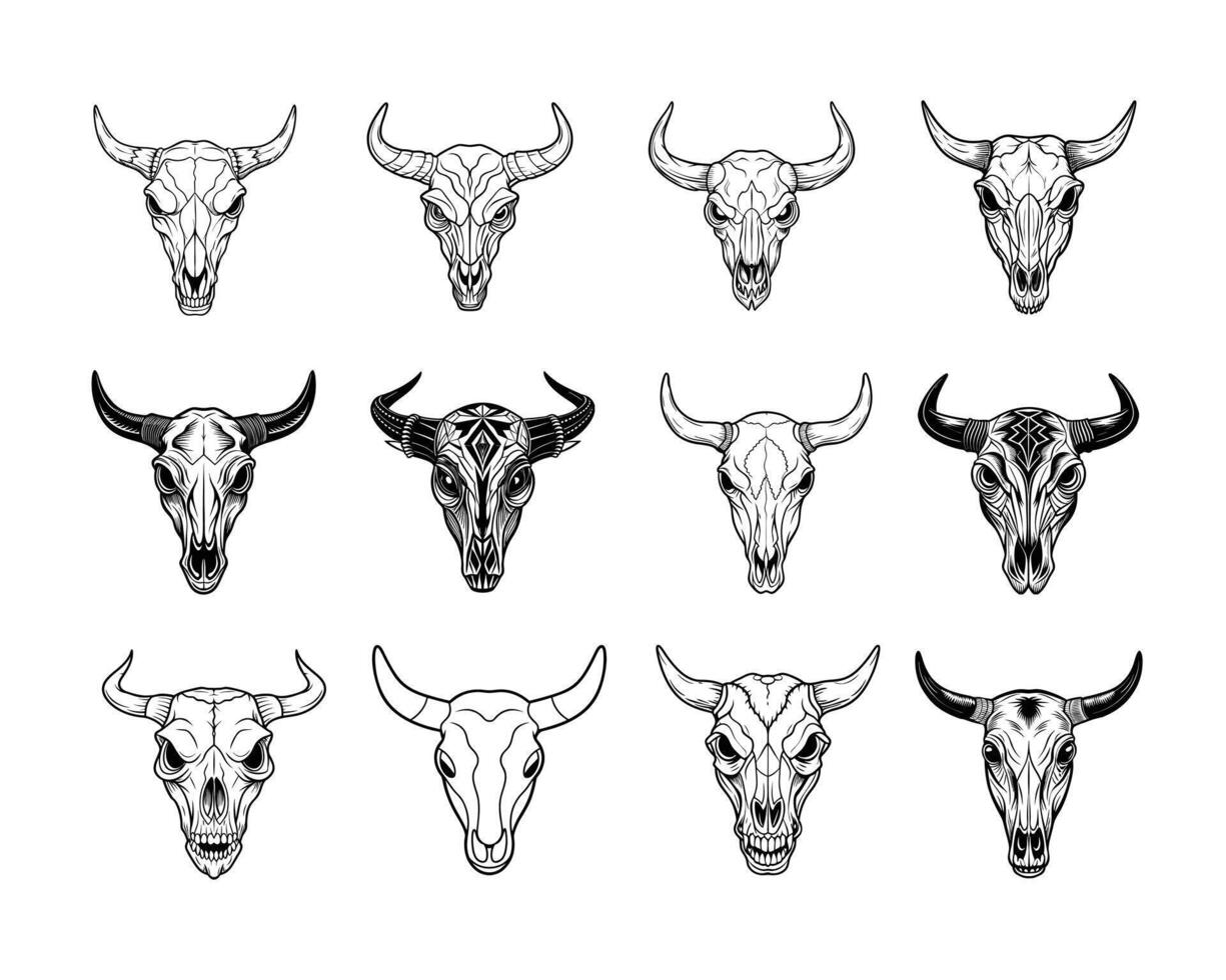 Collection of Cow Skull Outline Design - Bull Head Skull illustration vector