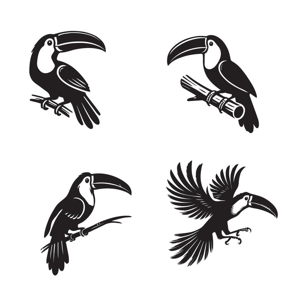 Collection of Toco toucan illustration - Toco toucan Bird Silhouette Design vector