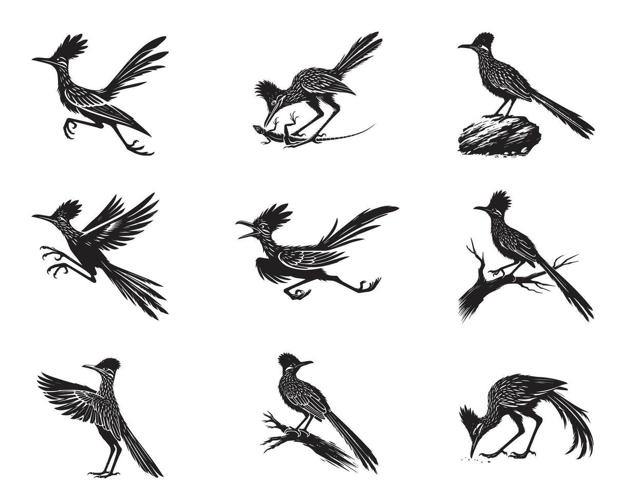 Set of Greater Roadrunner silhouettes Design - Greater roadrunner illustration vector