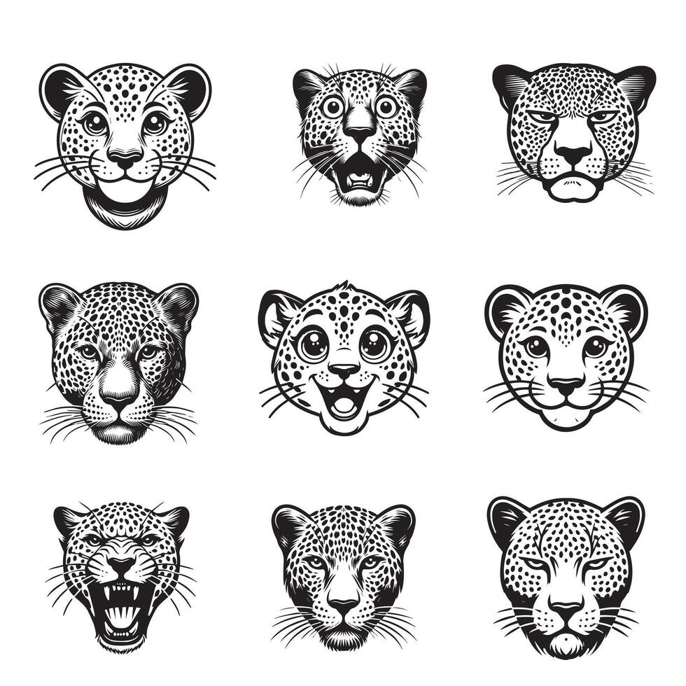 Set of Leopard face illustration in black and white - Panthera Pardus Head clipart Design Bundle vector