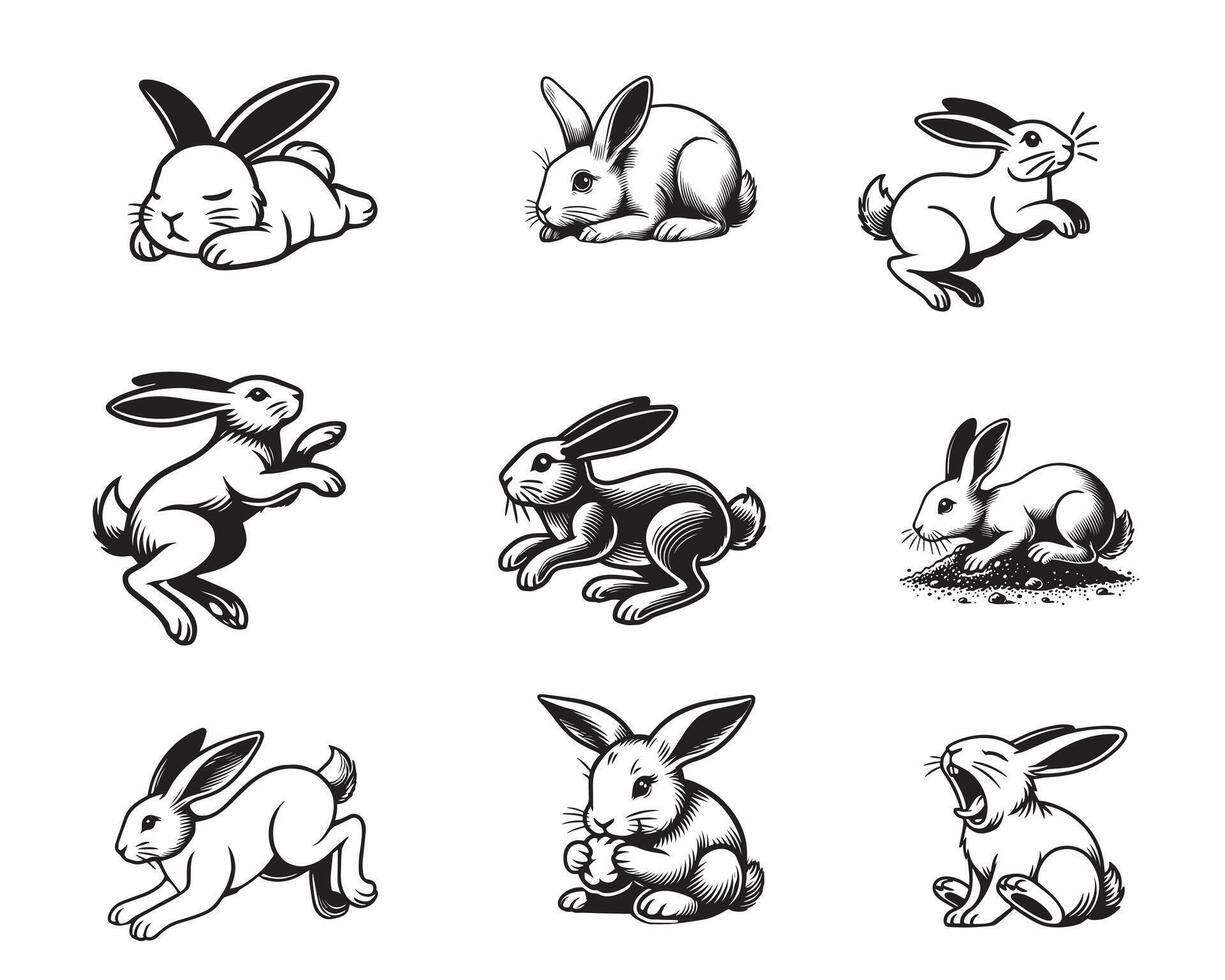 Set of Rabbit Outline Design - bunny illustration in black and white vector