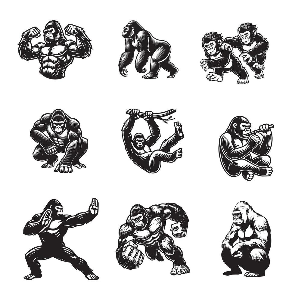Set of Gorilla bodybuilder Silhouette Design - Gorilla Illustration vector