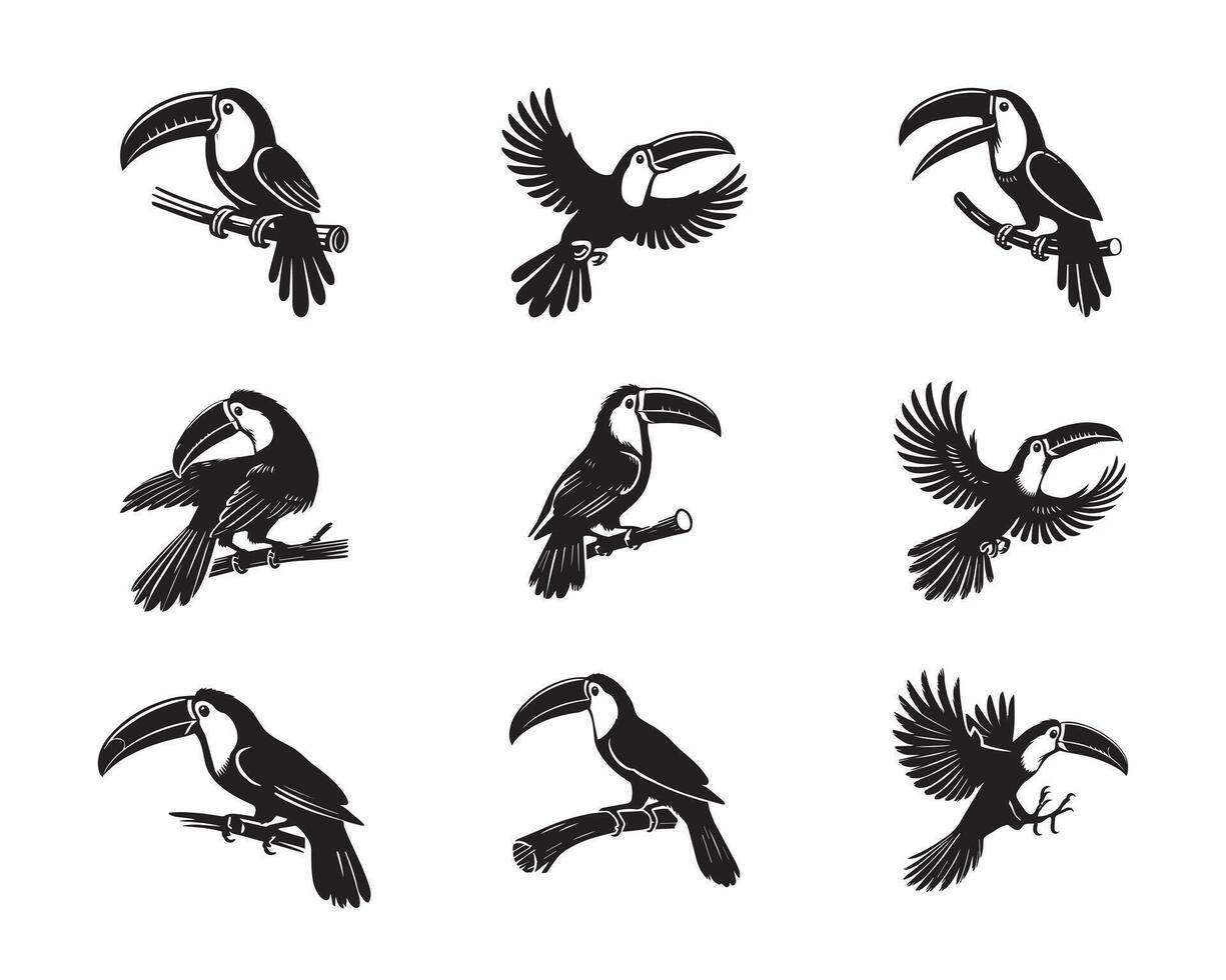 Collection of Toco toucan illustration - Toco toucan Bird Silhouette Design vector