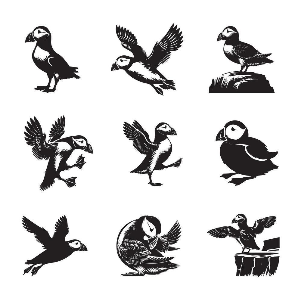 Collection of Atlantic puffin illustration - Atlantic puffin Bird Silhouette Design vector