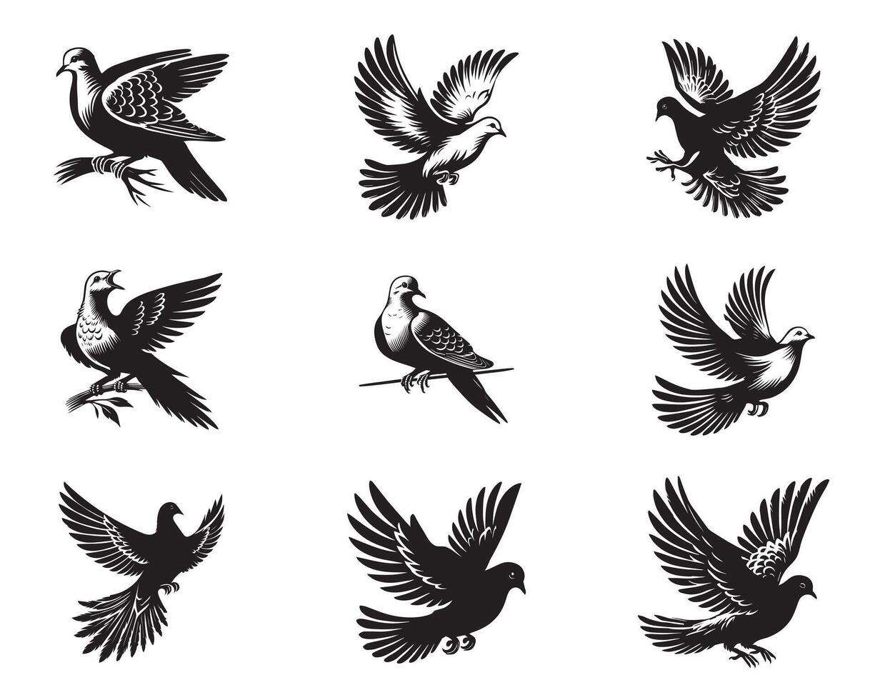 Collection of Mourning Dove illustration - Mourning Dove Bird Clipart Design vector