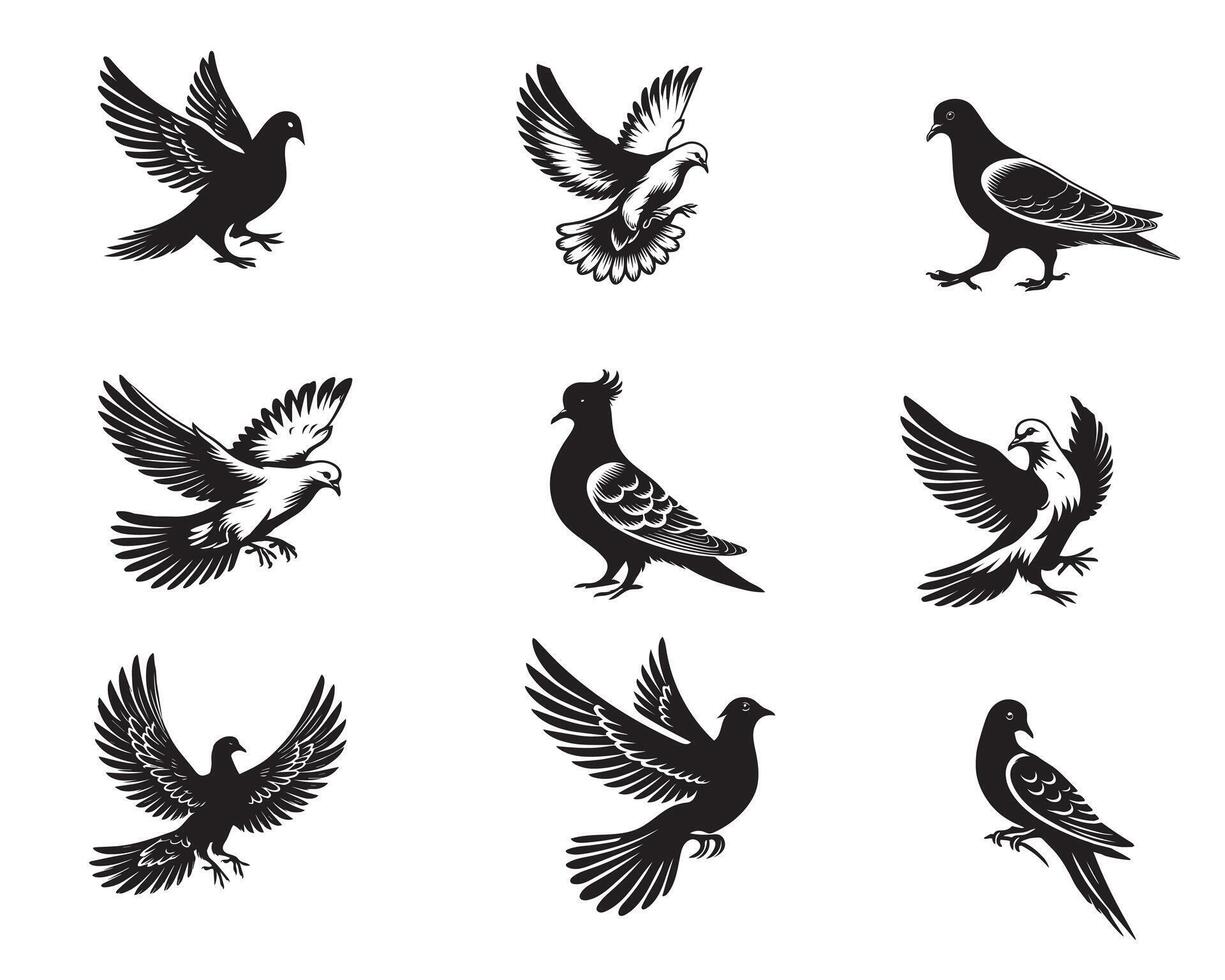 Collection of Mourning Dove illustration - Mourning Dove Bird Clipart Design vector