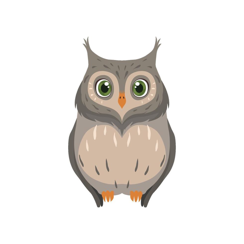 Cute owl, lovely bird cartoon character front view Illustration vector
