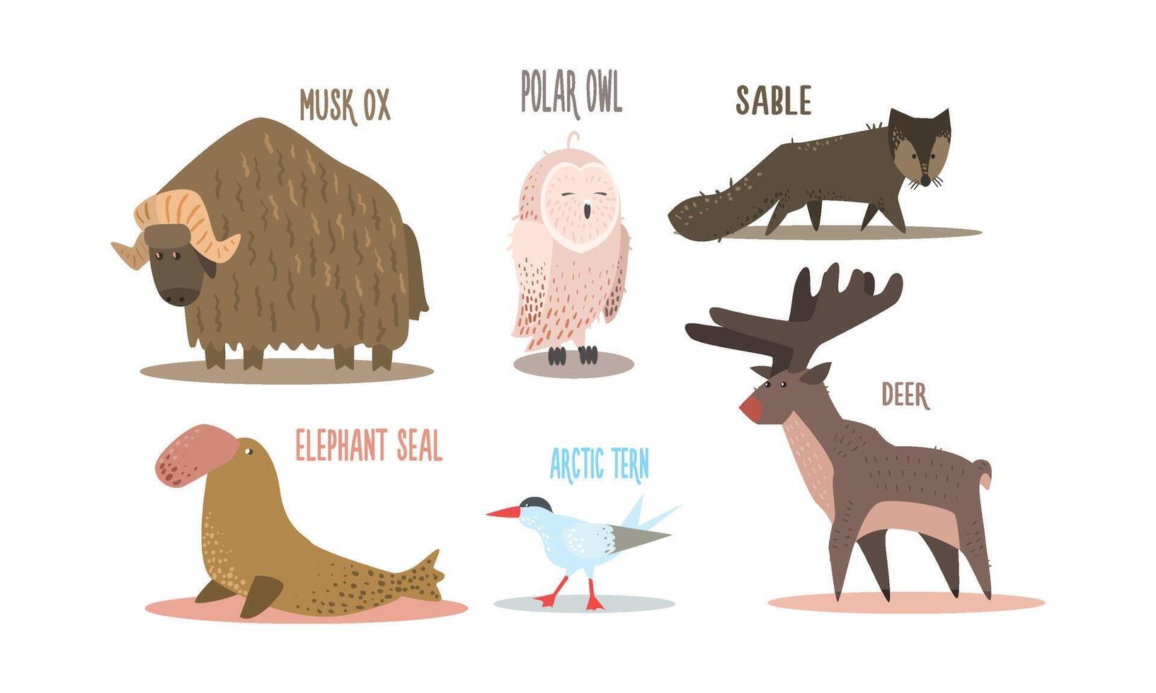 Collection of Arctic animals with names, polar owl, musk ox, sable, elephant seal, arctic tern, deer Illustration vector