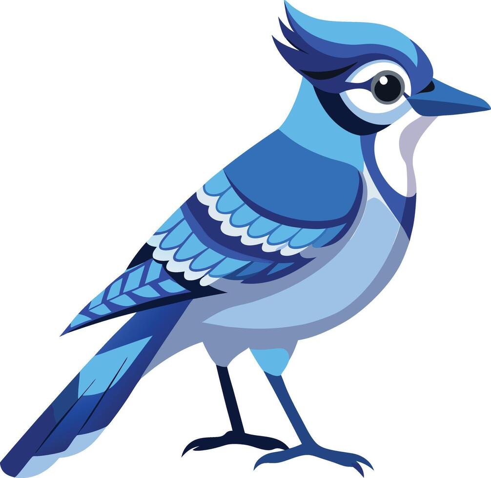 Vibrant Blue Jay Available on EPS File vector