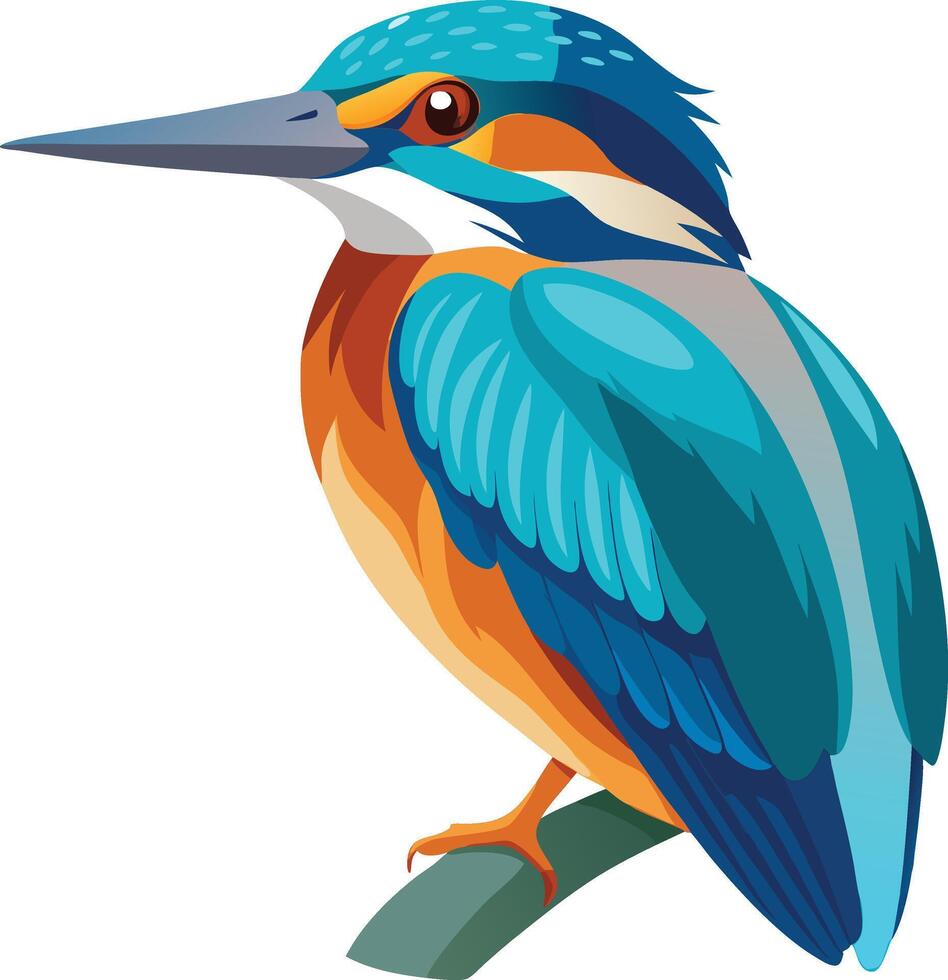 Colorful Kingfisher Available on EPS File vector