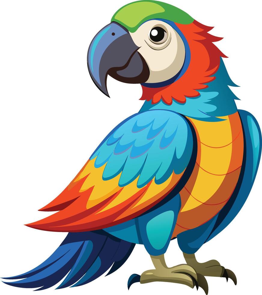 Colorful Parrot Full Body Available on EPS File vector