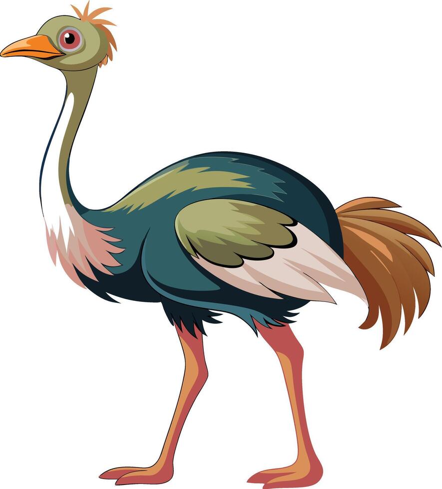 Speedy Ostrich Full Body Available on EPS File vector