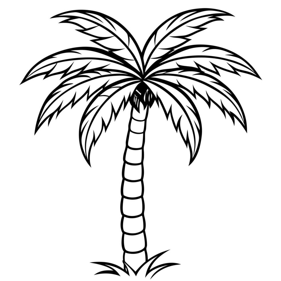 Palm tree coloring pages vector