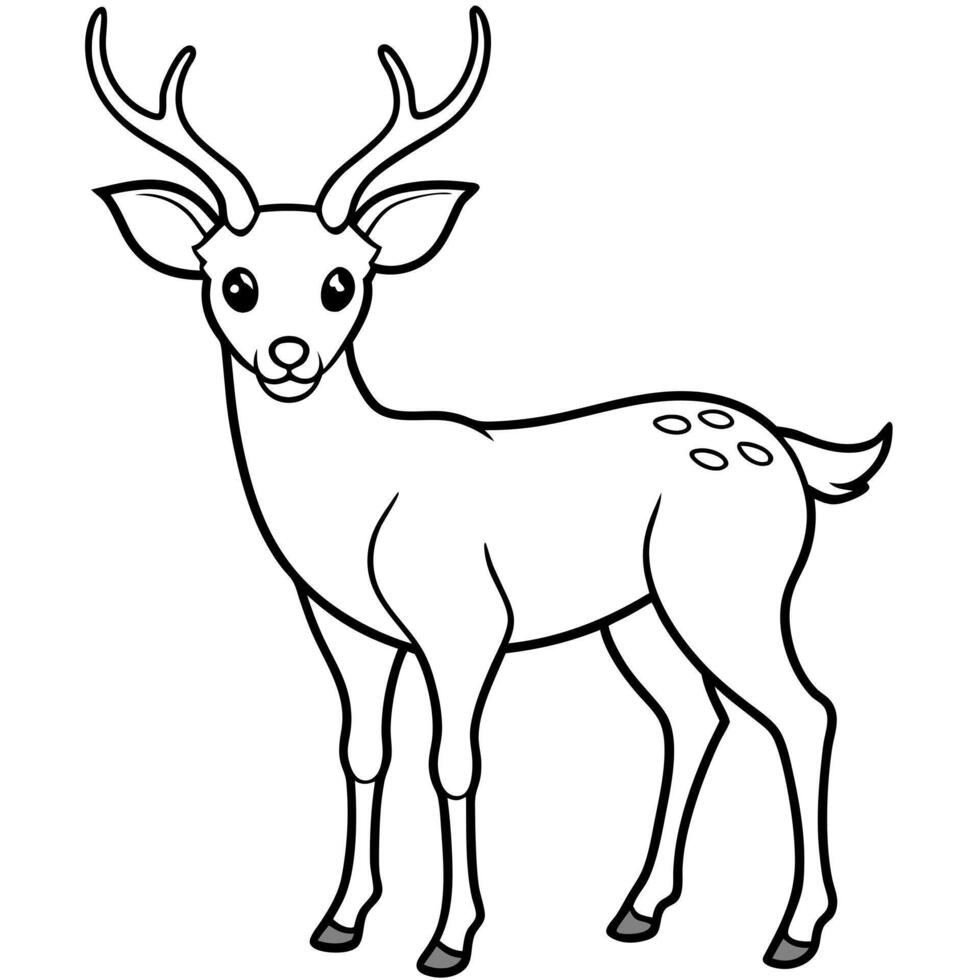 Deer coloring pages for kids vector