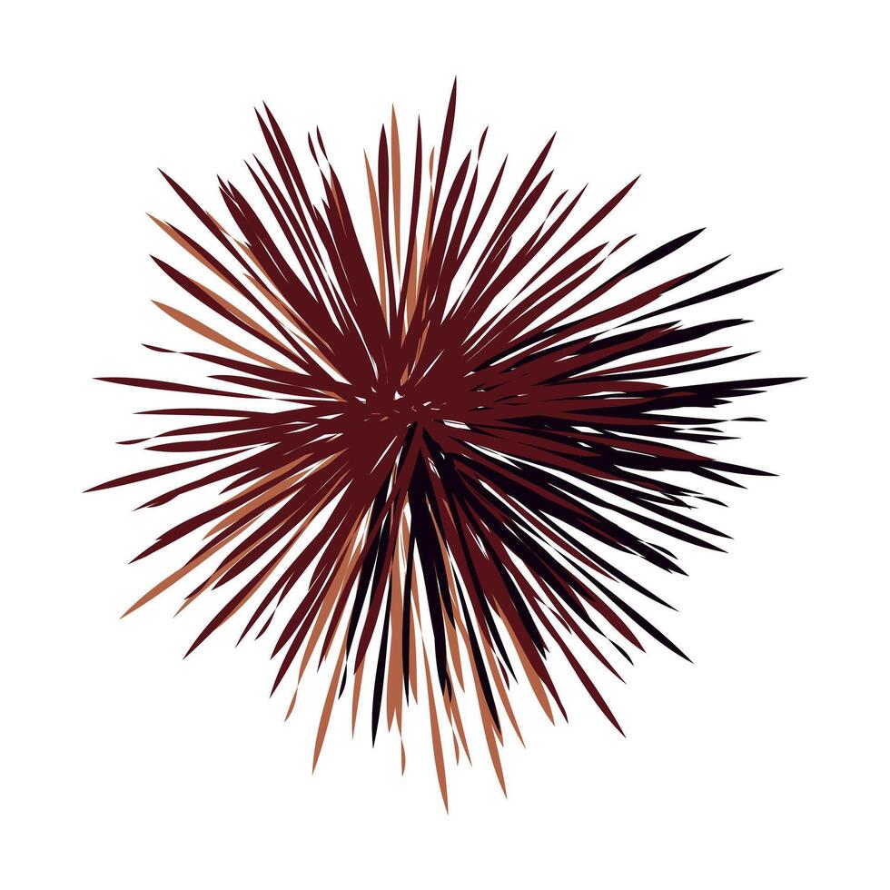 erizo de mar which is translated as Sea urchins Mediterranean sea urchin flat design illustration vector