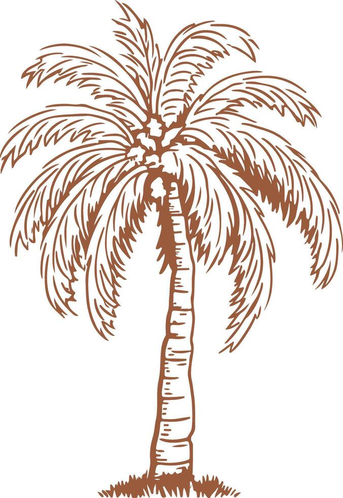 Vintage outline Bronze Detailed Ornate Desert Palm Tree Lslamic Religion Symbol vector