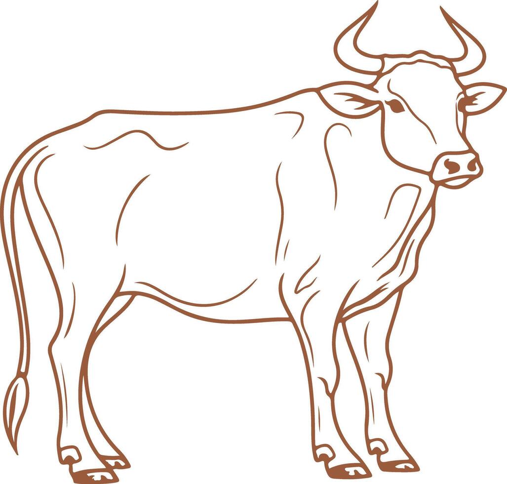 A cow is standing in the middle of a white background vector