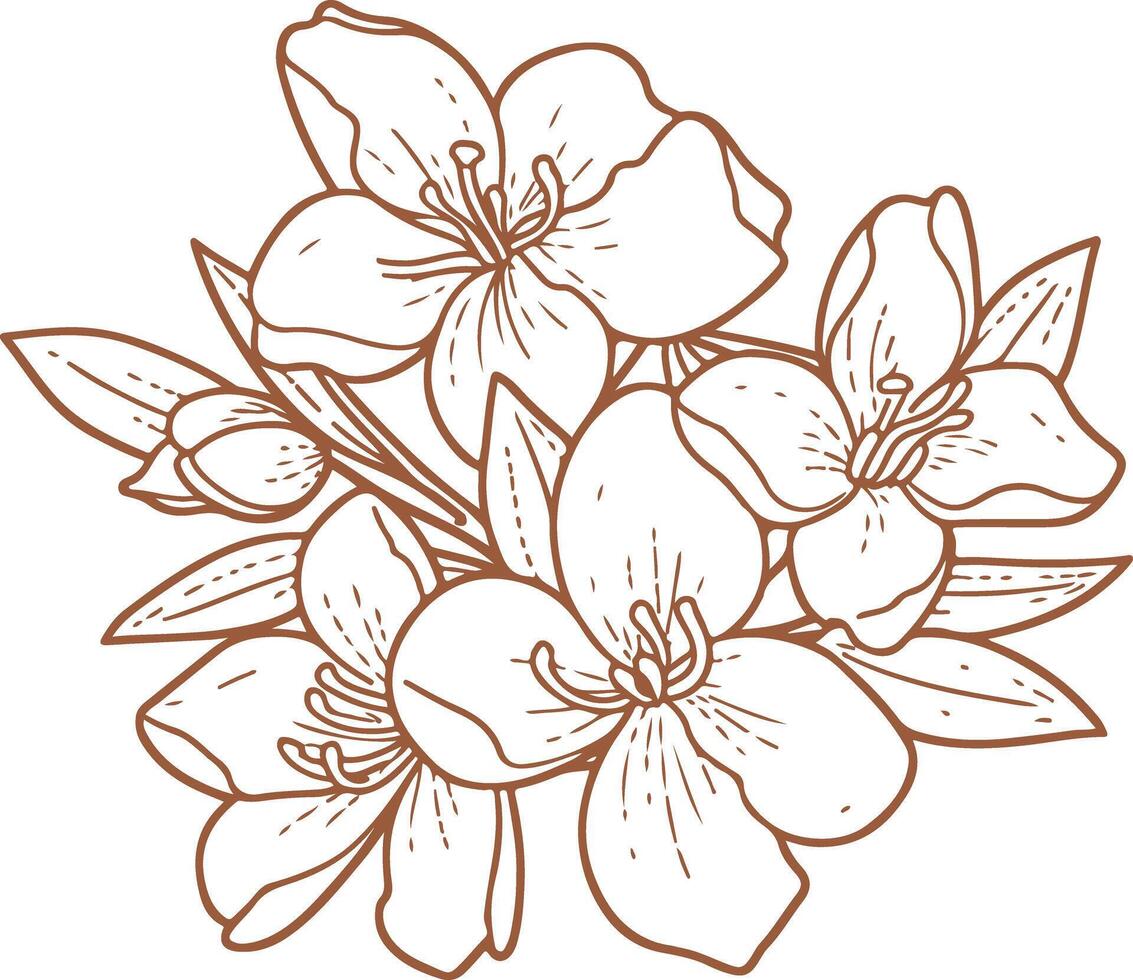 Vintage outline Ramadan Orange Blossom flower vector