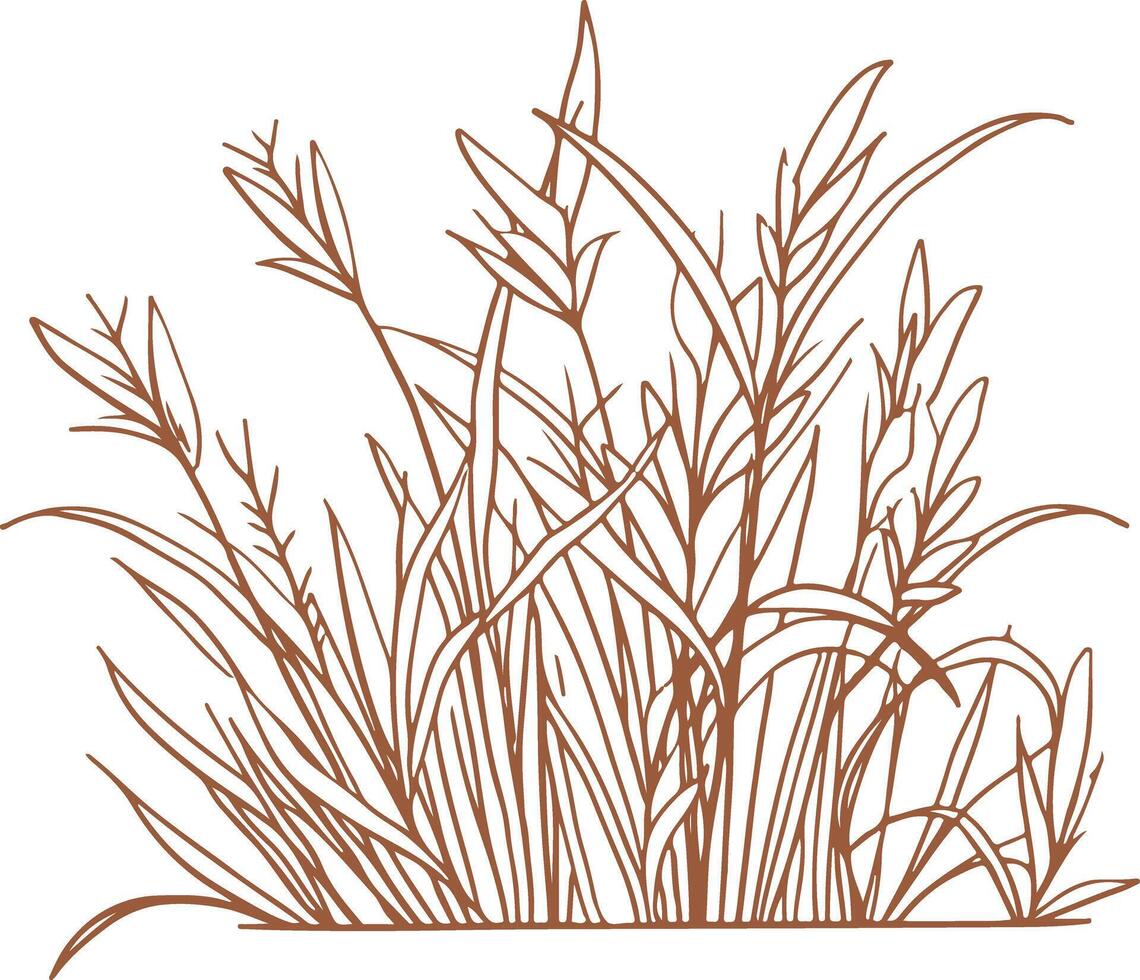 Vintage outline Ramadan Grass vector