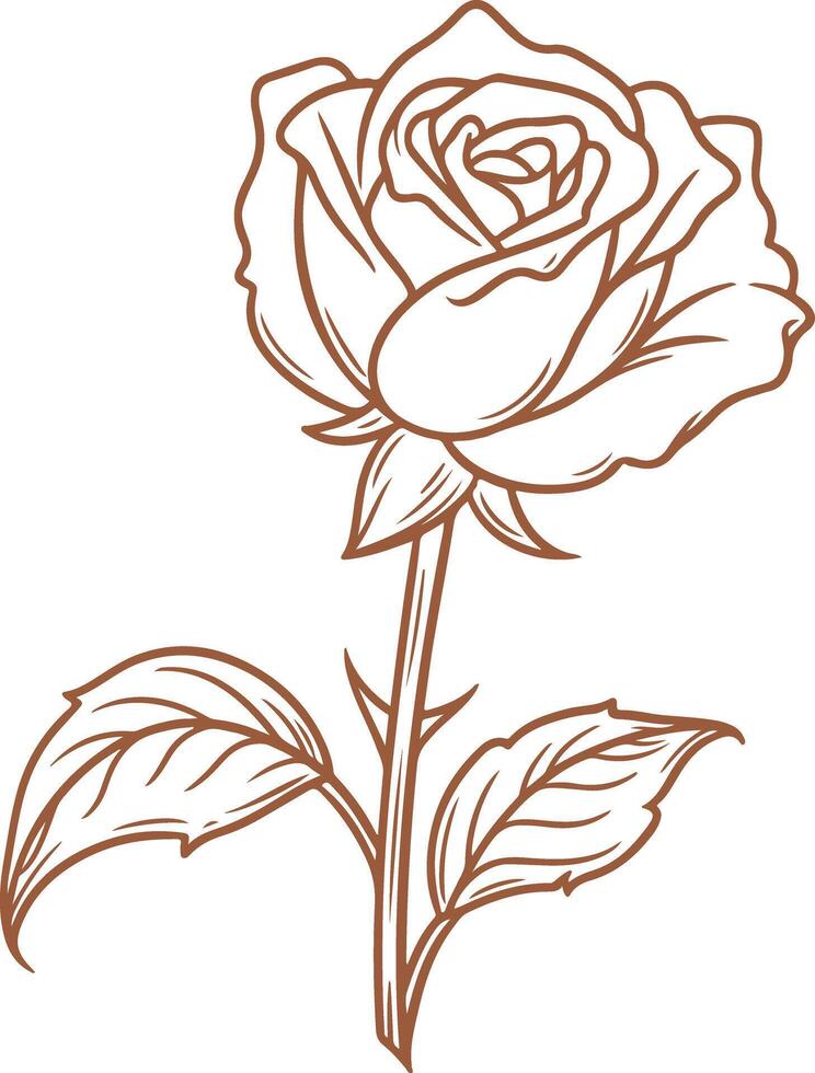 Vintage outline Ramadan Rose flower vector