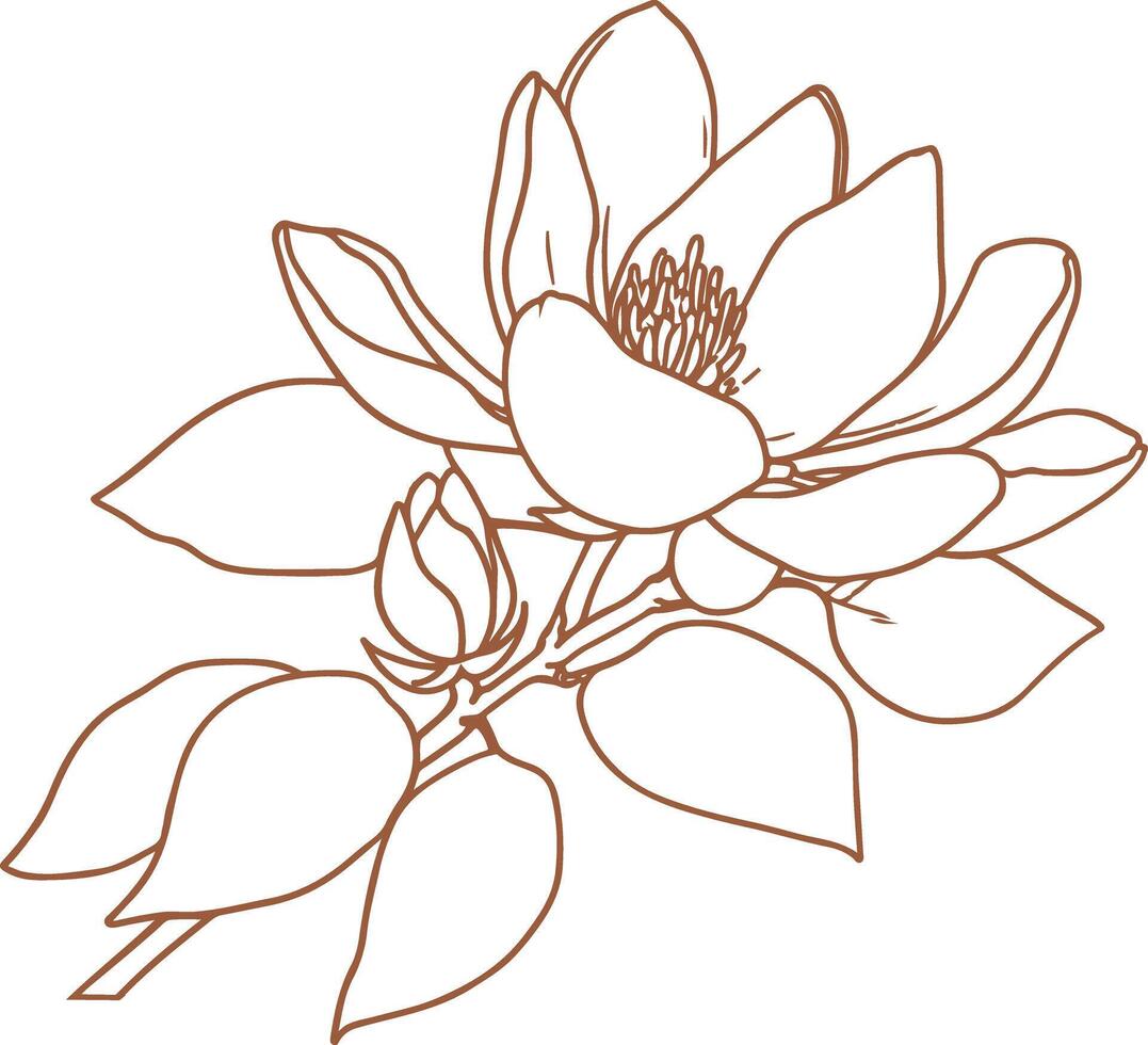 Vintage outline Ramadan Magnolia flower vector