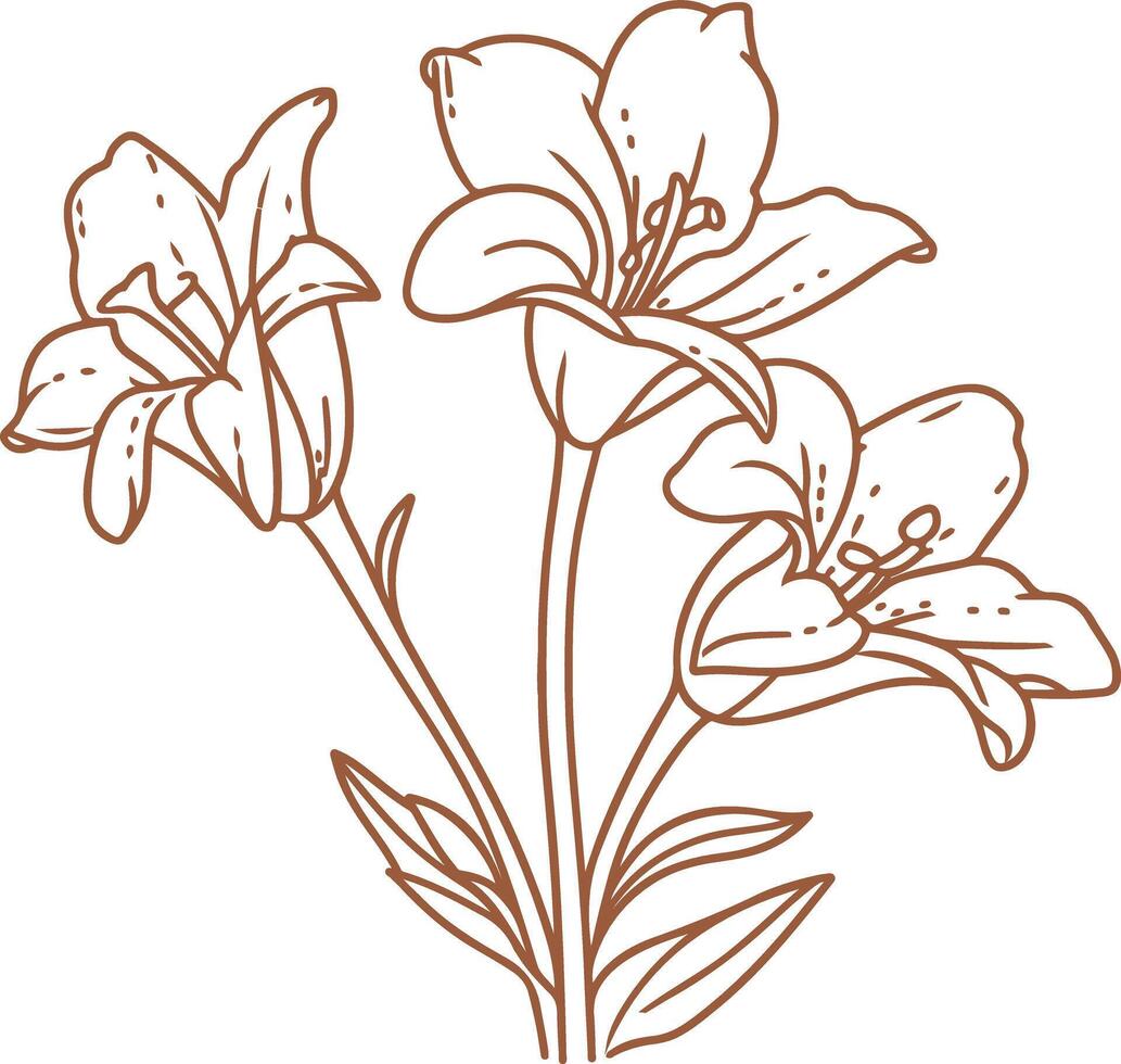 Vintage outline Ramadan Lily flower vector
