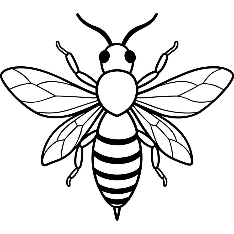 Bee coloring pages free printable coloring pages vector