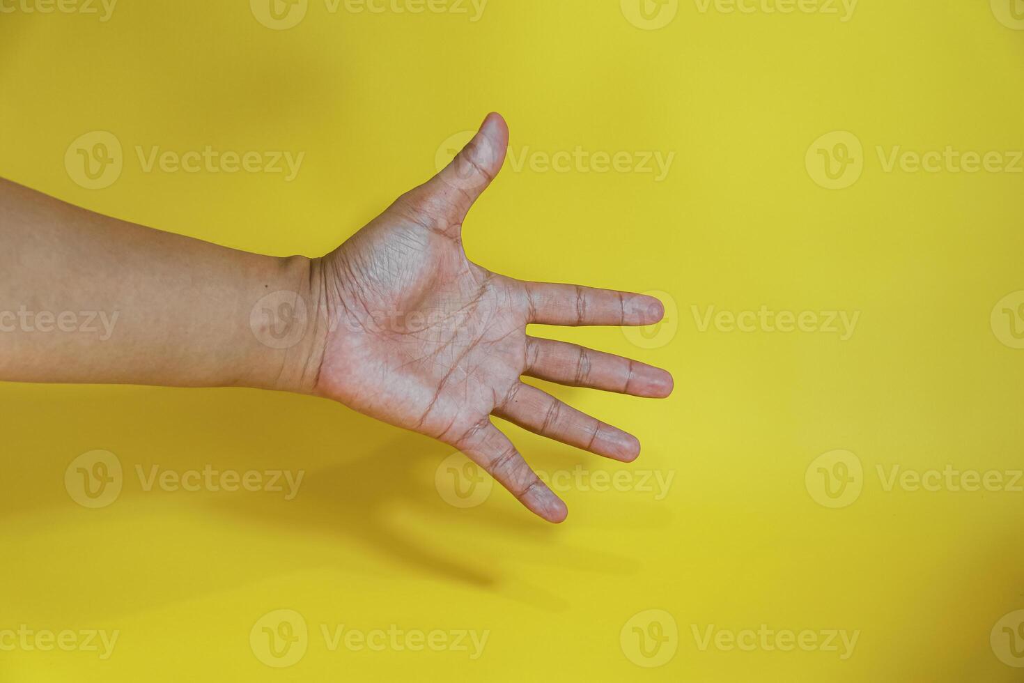 Open palm Count five with finger photo