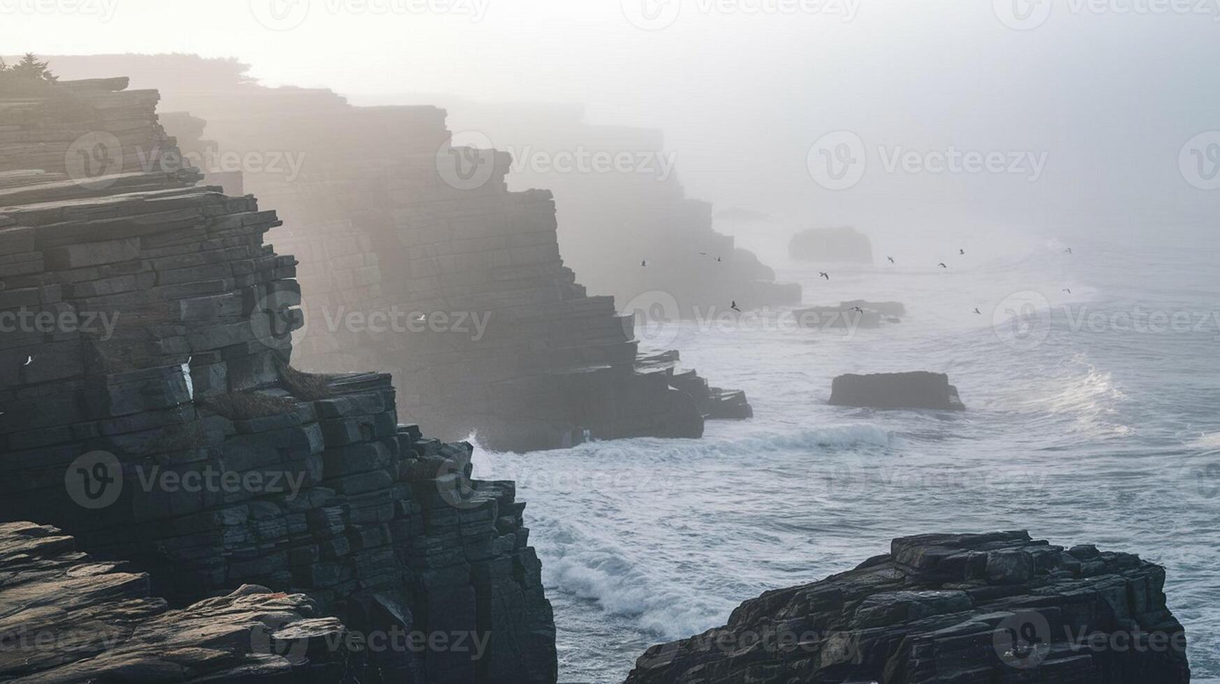 Misty Coastal Cliffs photo