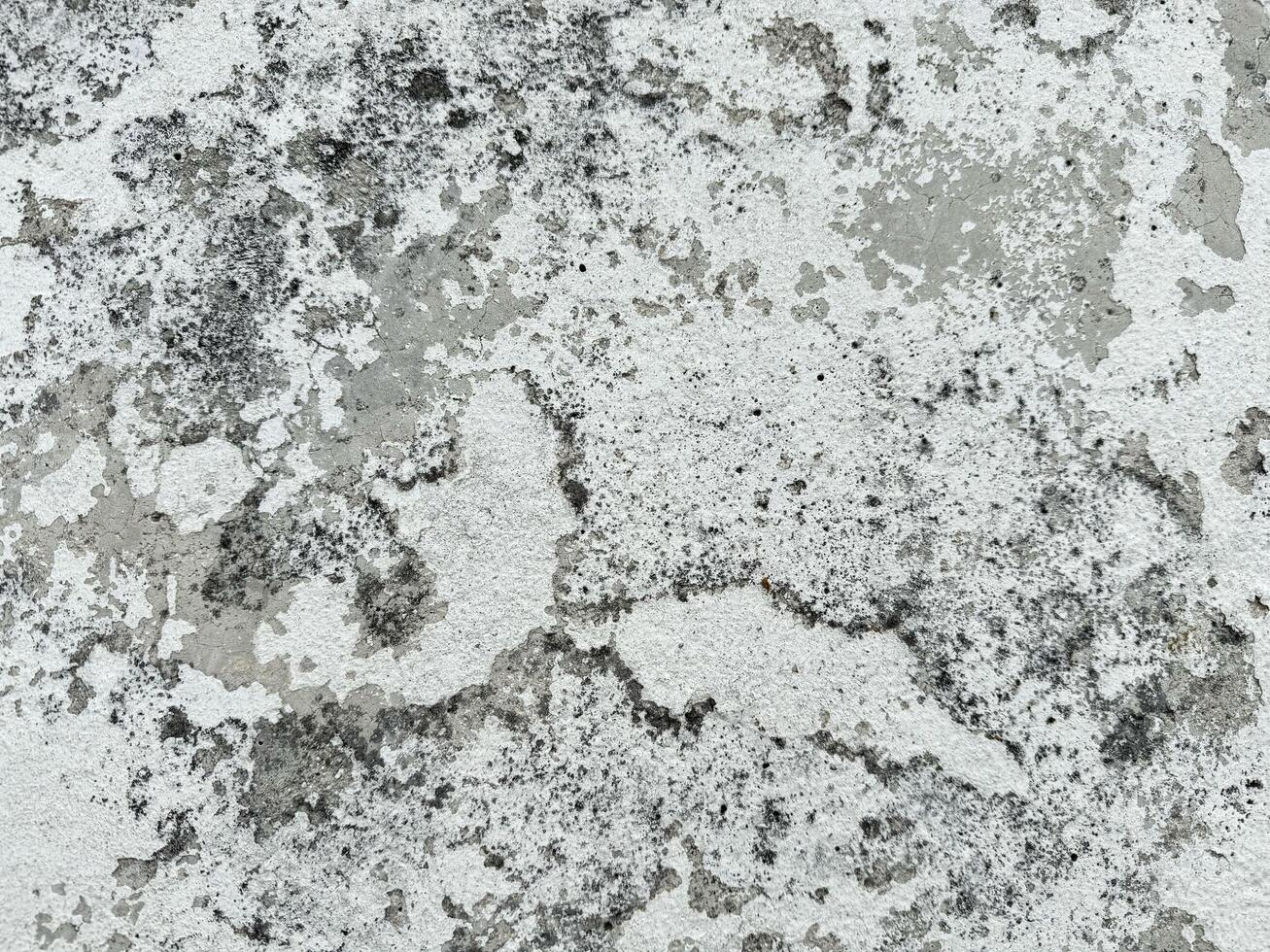 Close-up of weathered concrete texture with natural patterns and subtle color variations photo
