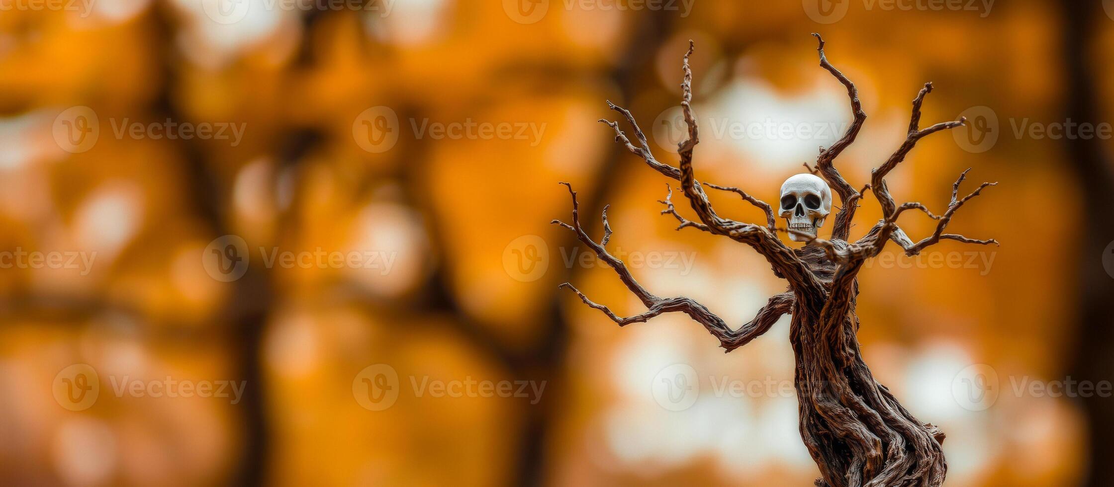 Skull on a Twisted Branch photo