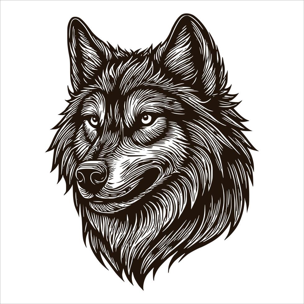 The wolf head is shown in a black and white drawing vector