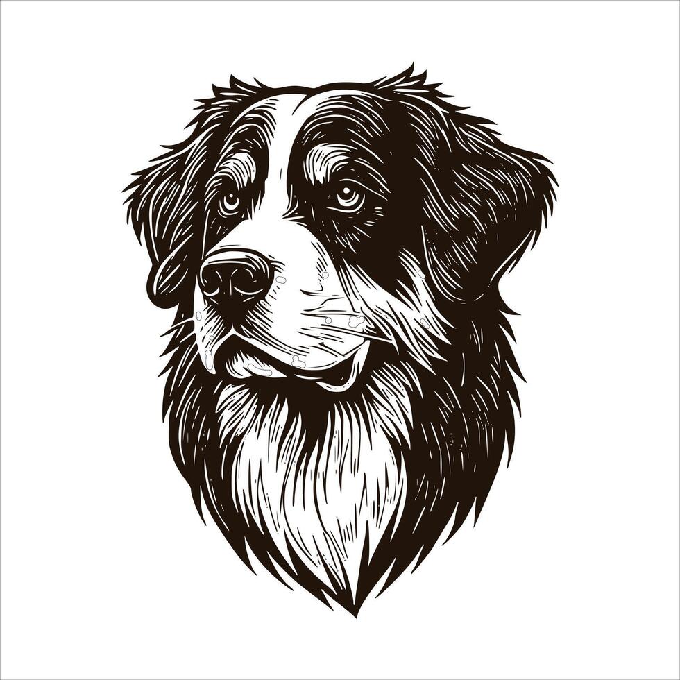 Bernese mountain dog head illustration vector