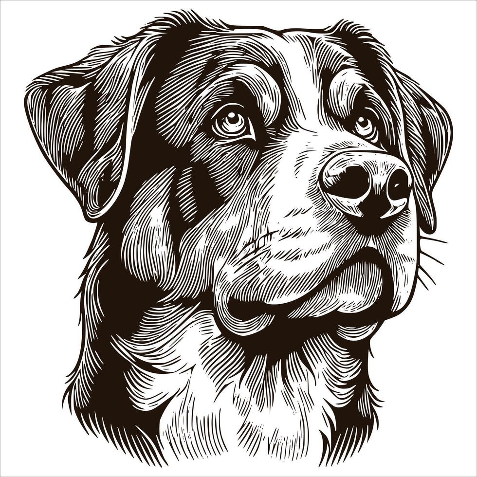A dog head in a black and white drawing vector